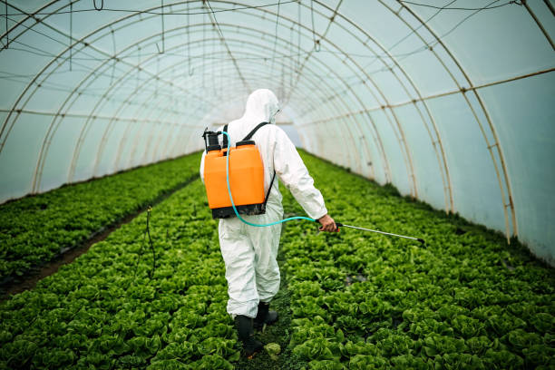 Best Affordable Pest Control Services  in Five Points, FL