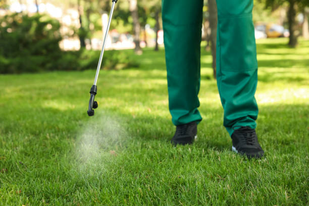 Best Commercial Pest Control Services  in Five Points, FL