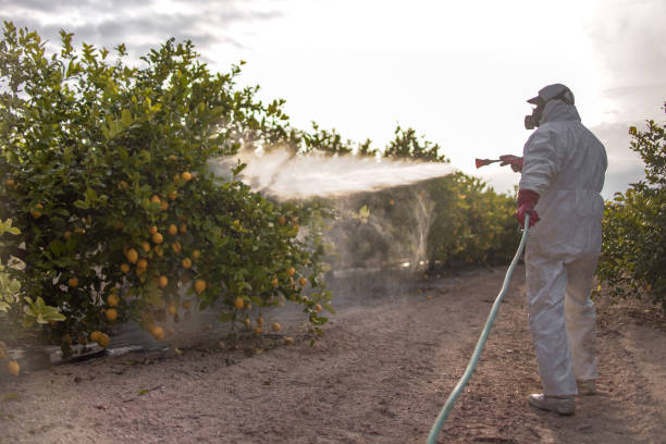 Best Cockroach Control Services  in Five Points, FL